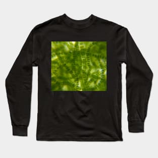 Green Microscopic Seaweed Long Sleeve T-Shirt